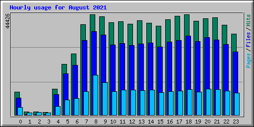 Hourly usage for August 2021